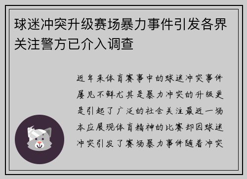 球迷冲突升级赛场暴力事件引发各界关注警方已介入调查